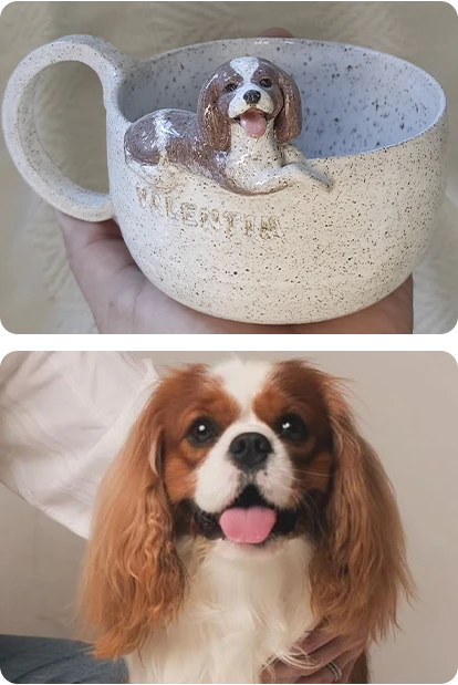 comparação 01